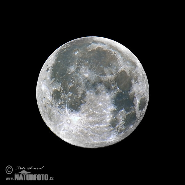Full Moon (Luna)