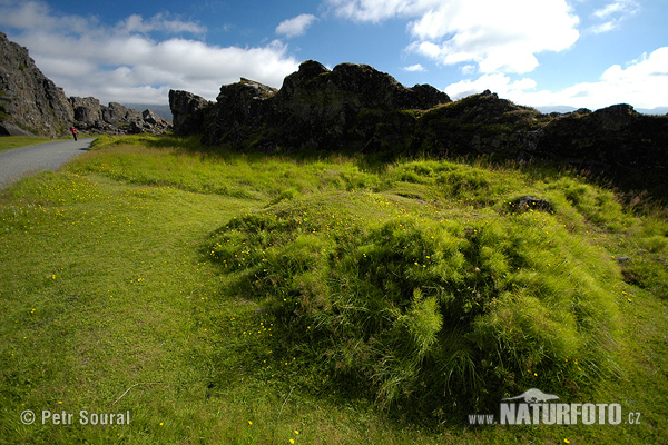 Islande