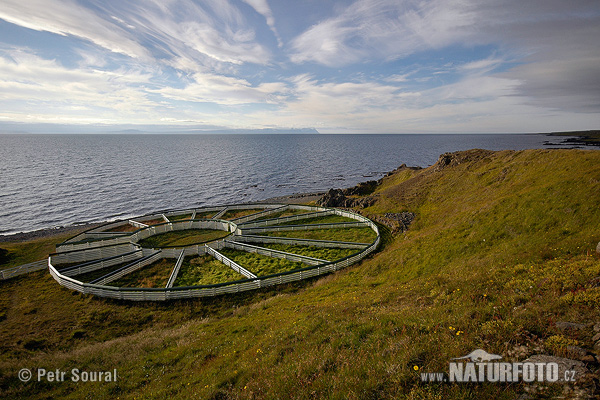 Islande