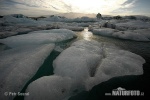 Jökulsárlón lagoon