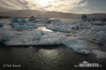 Jökulsárlón lagoon