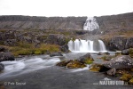 Waterfall Fjallfoss (Dynjandi)