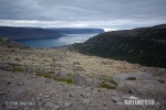 Westfjords