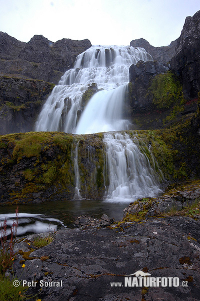 Waterfall Fjallfoss (Dynjandi) (IS)