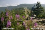 Beskids - Pustevny